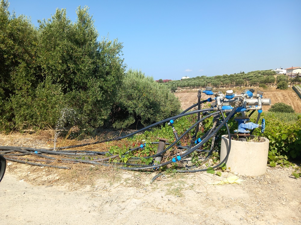 Πατσίδες έργο