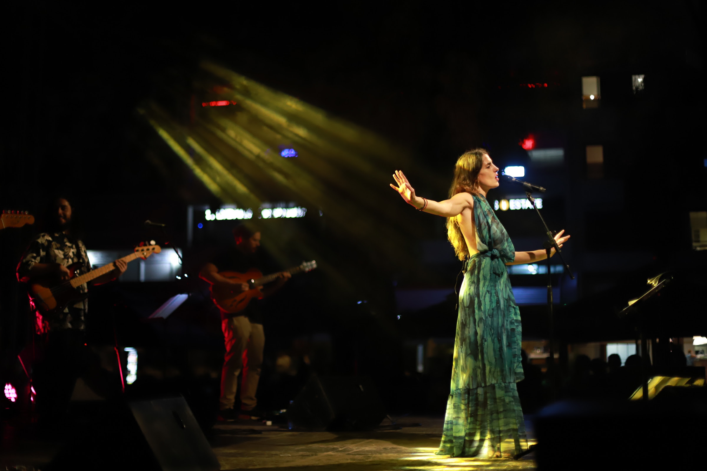 Παυλίνα Βουλγαράκη συναυλία