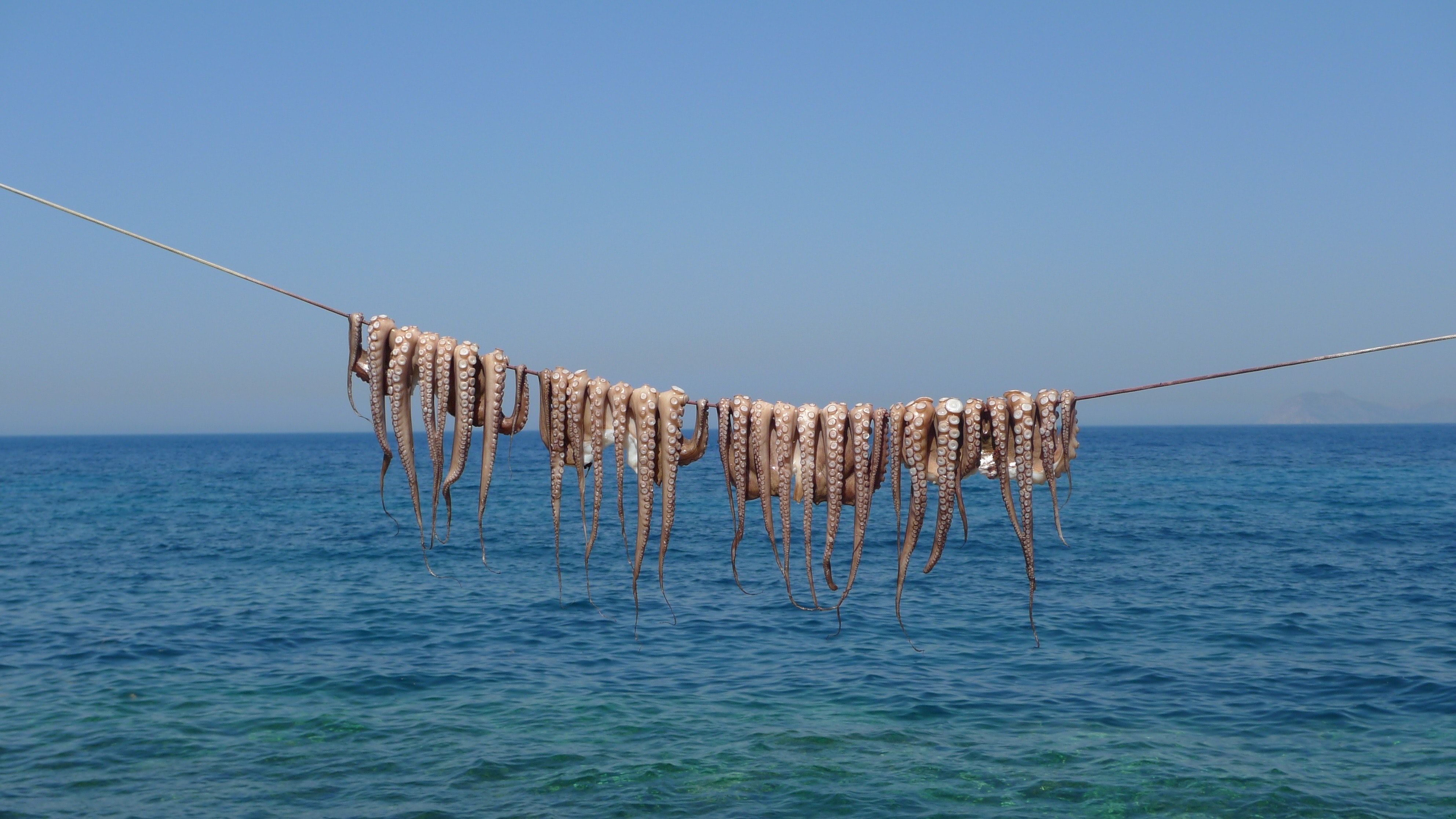 via: Pexels, Tomas Ryant