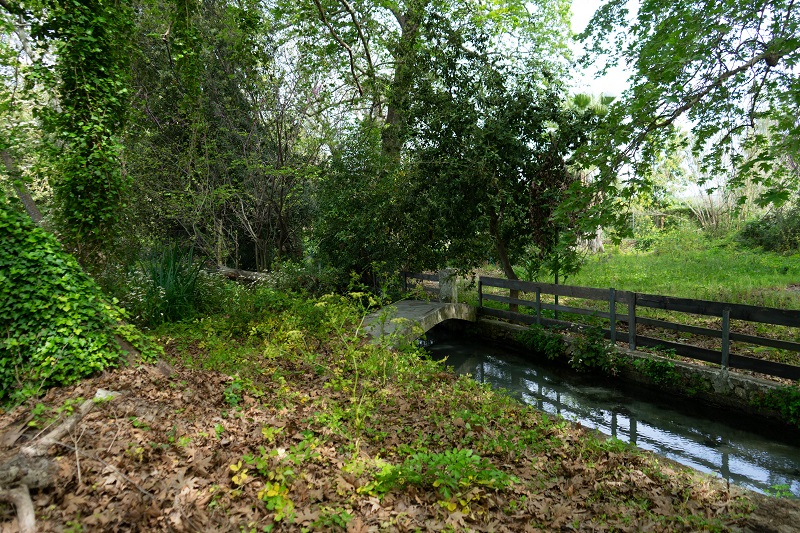 εθελοντική δράση