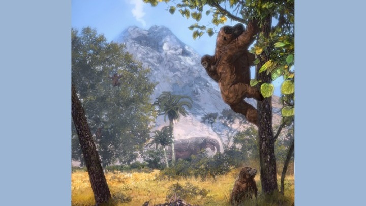 Πίθηκος δέντρο