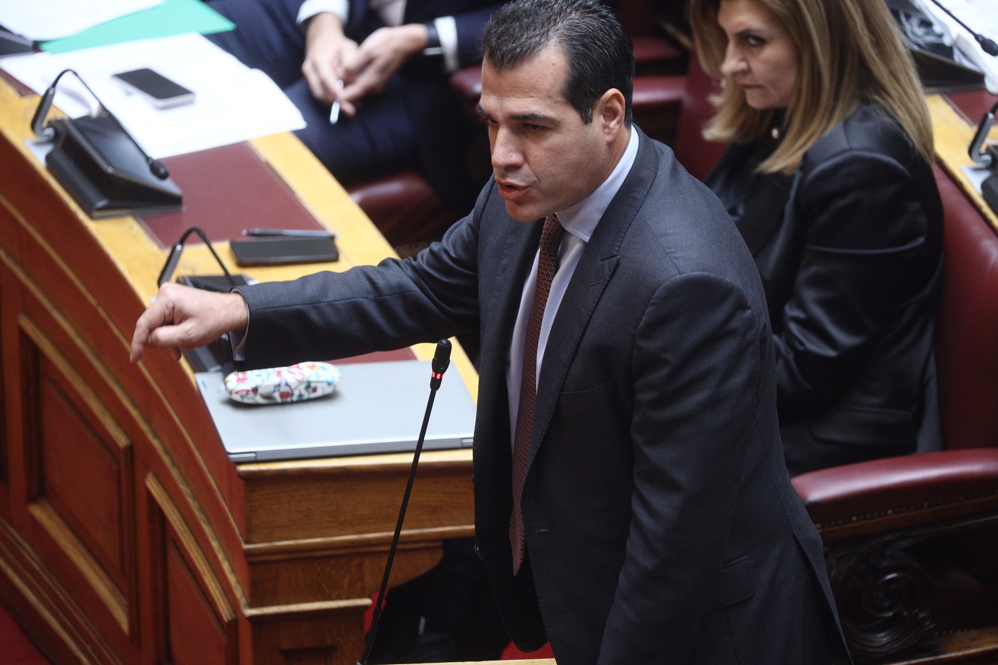 Τέμπη Πλεύρης