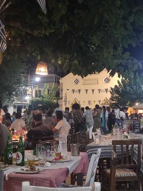 protasi gamou moxos3