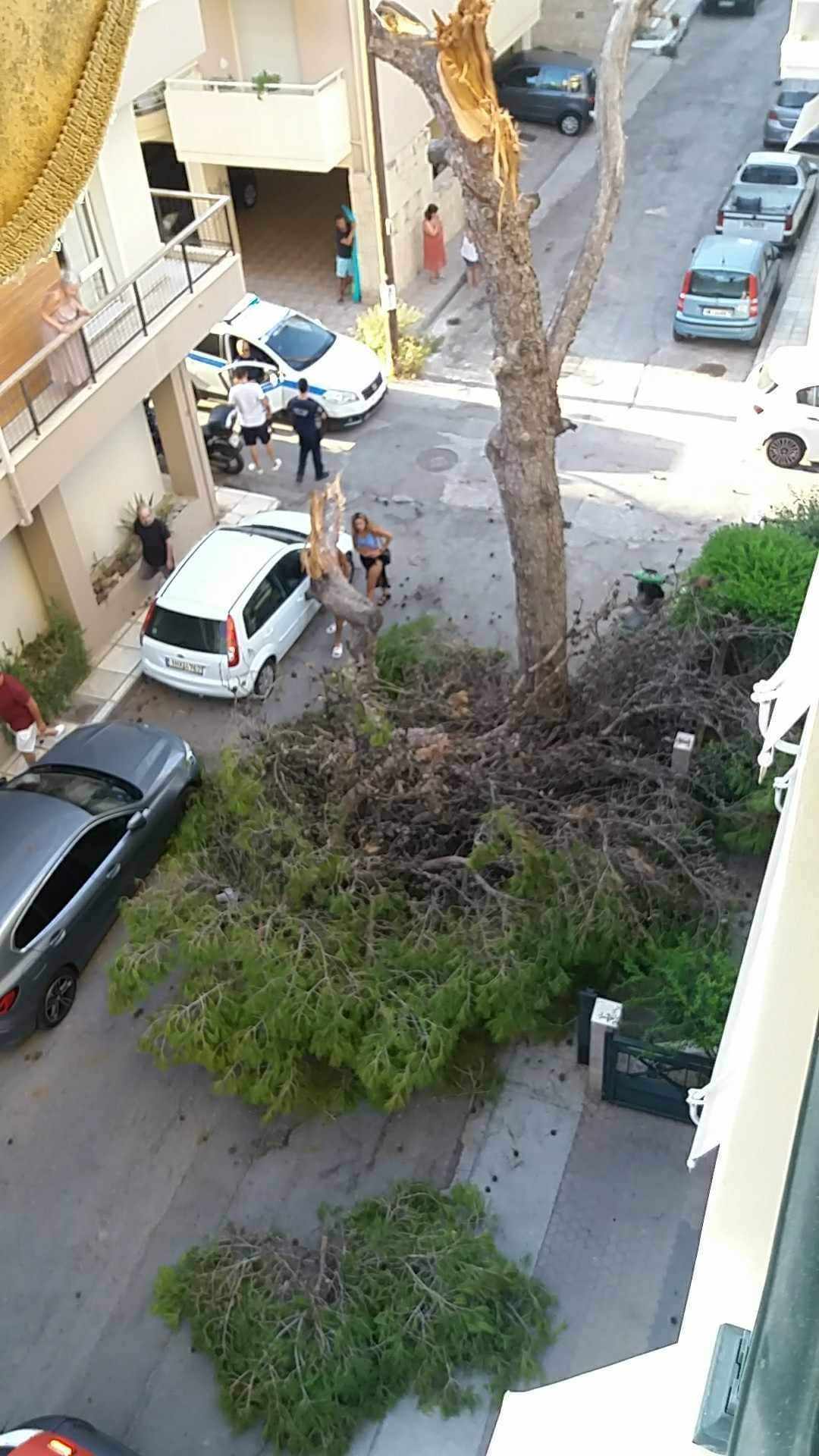 φωτογραφία: Κωστής Καλυβας