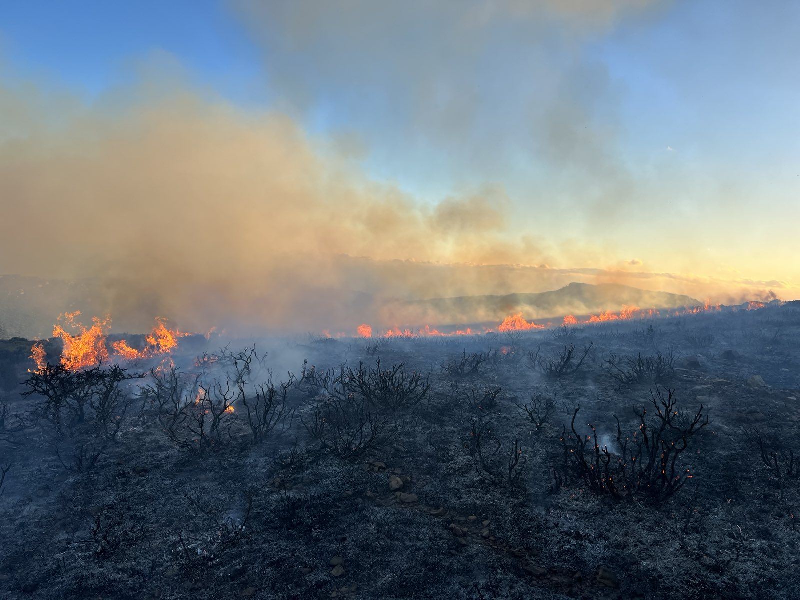 Πυρκαγιά Χανιά