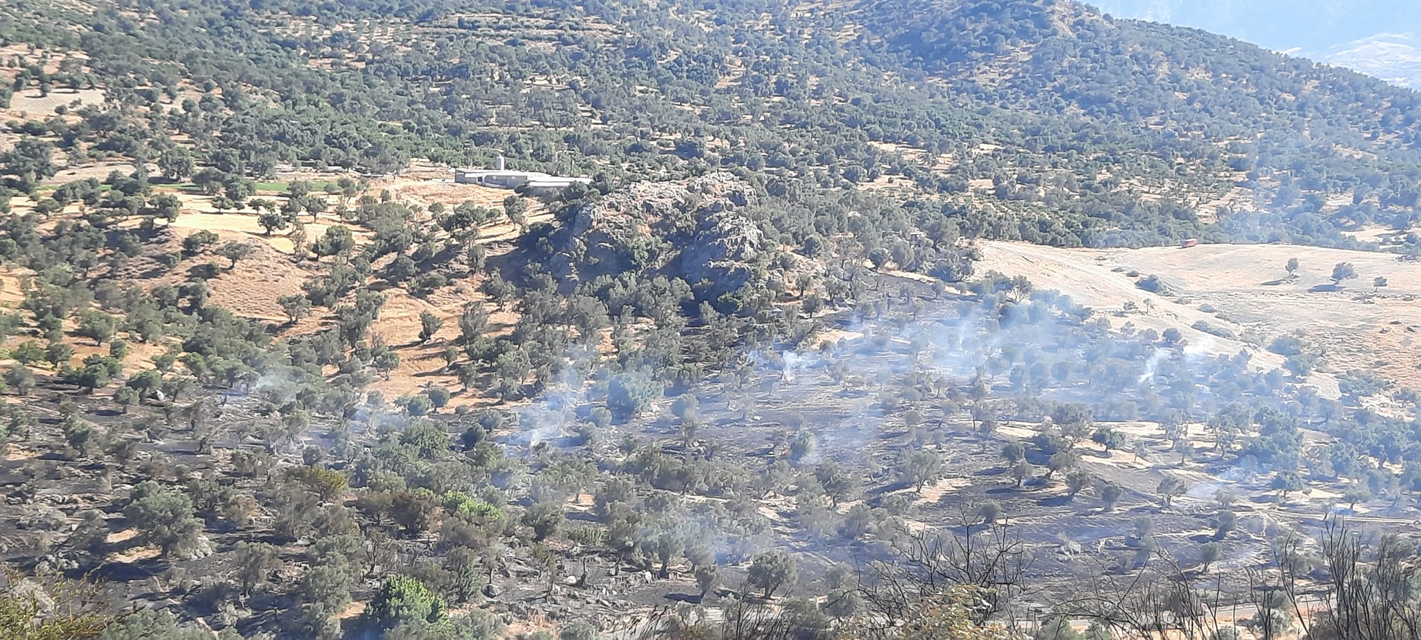 Ρέθυμνο φωτιά