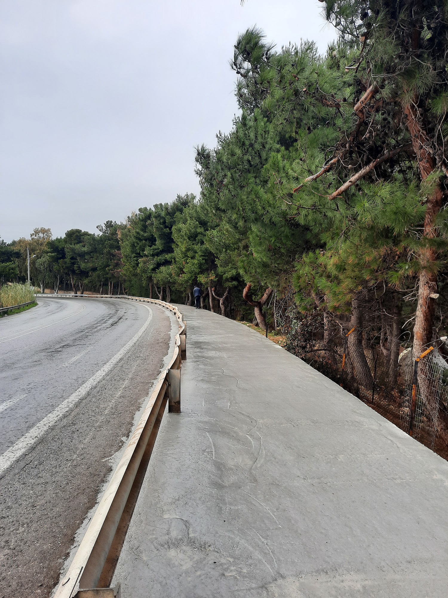 Λιονή έργα Ρέθυμνο