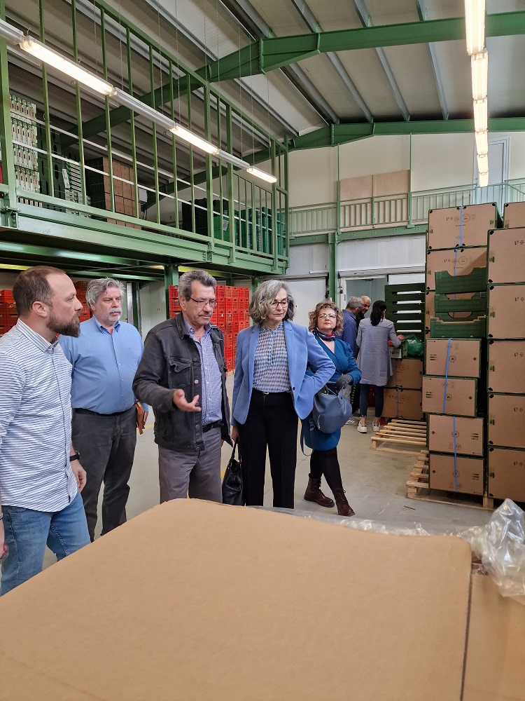 Σοφία Σακοράφα περιοδεία Κρήτη