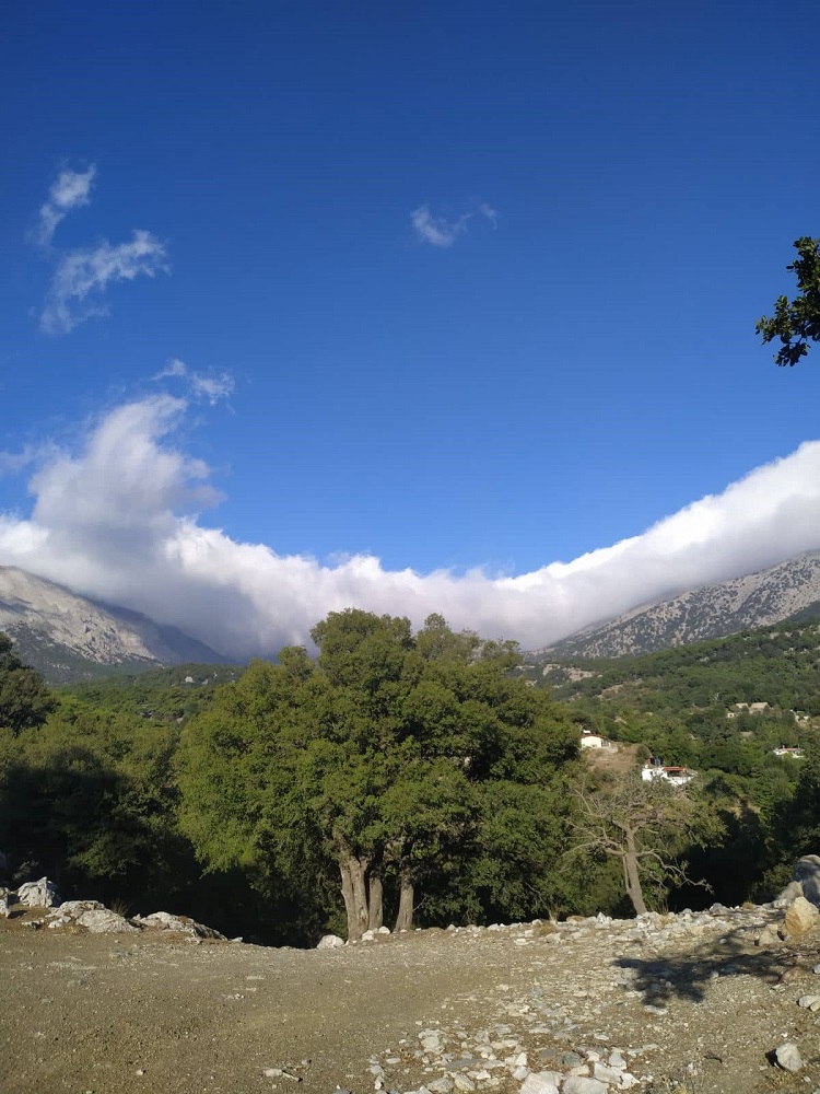 Σελάκανο