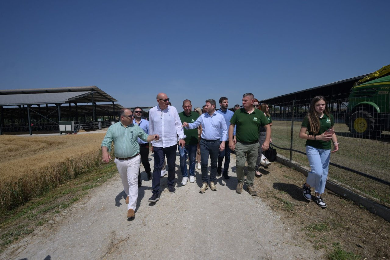 Σέρρες Ανδρουλάκης