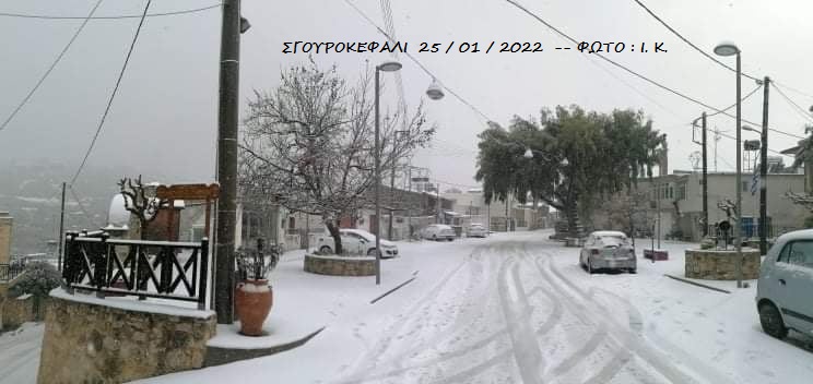 Σγουροκεφάλι χιόνια