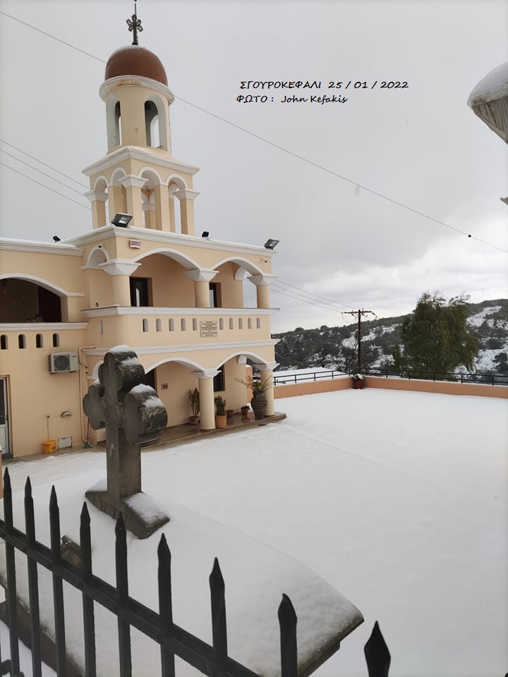 Σγουροκεφάλι χιόνια