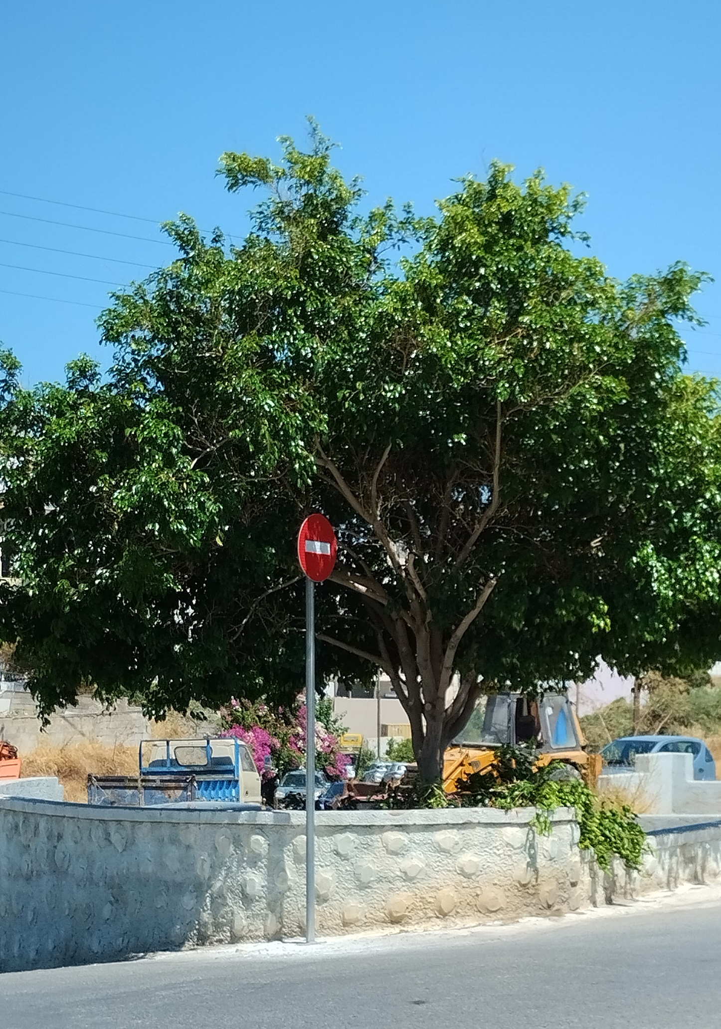 Σηματοδότης 