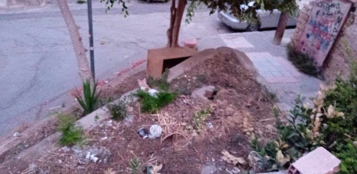 skoupidia agia triada2