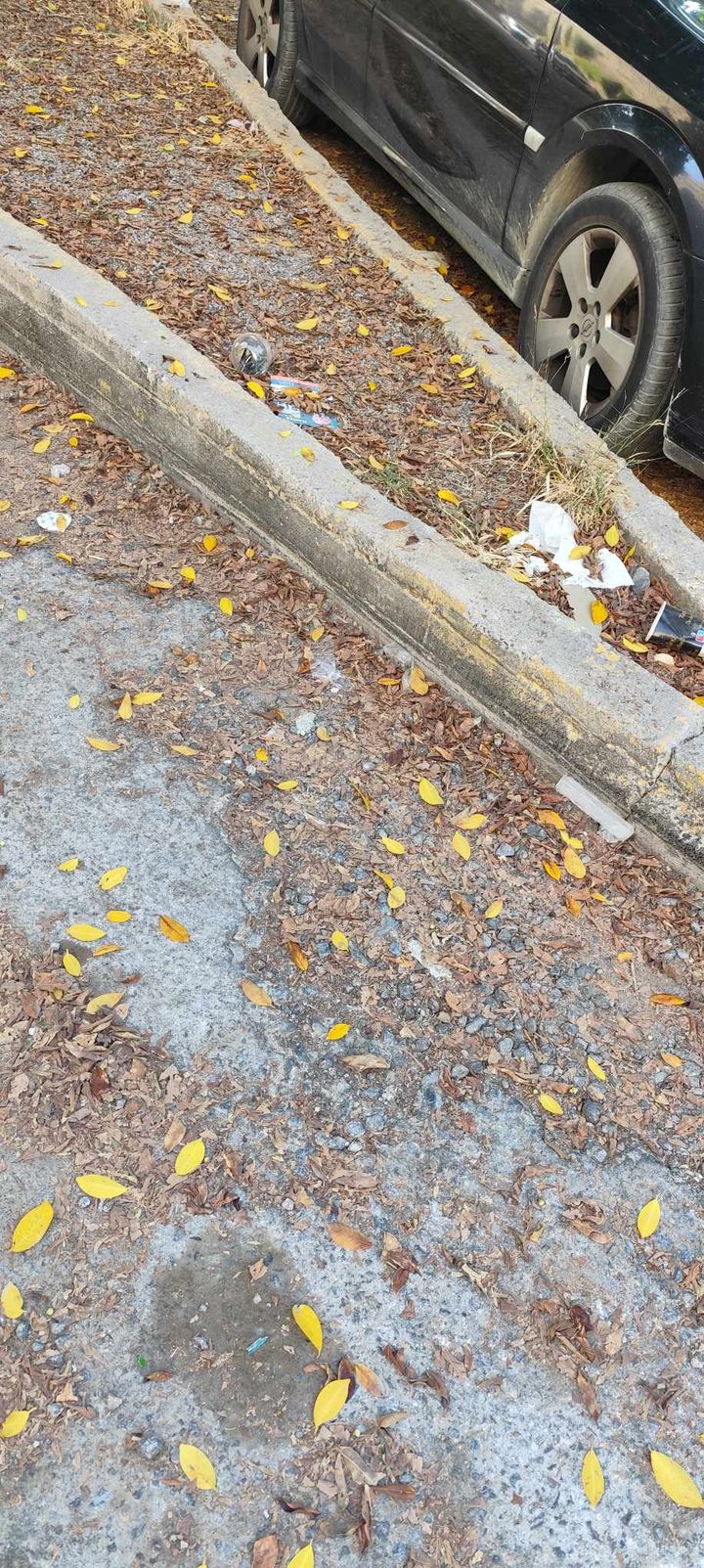 450956069