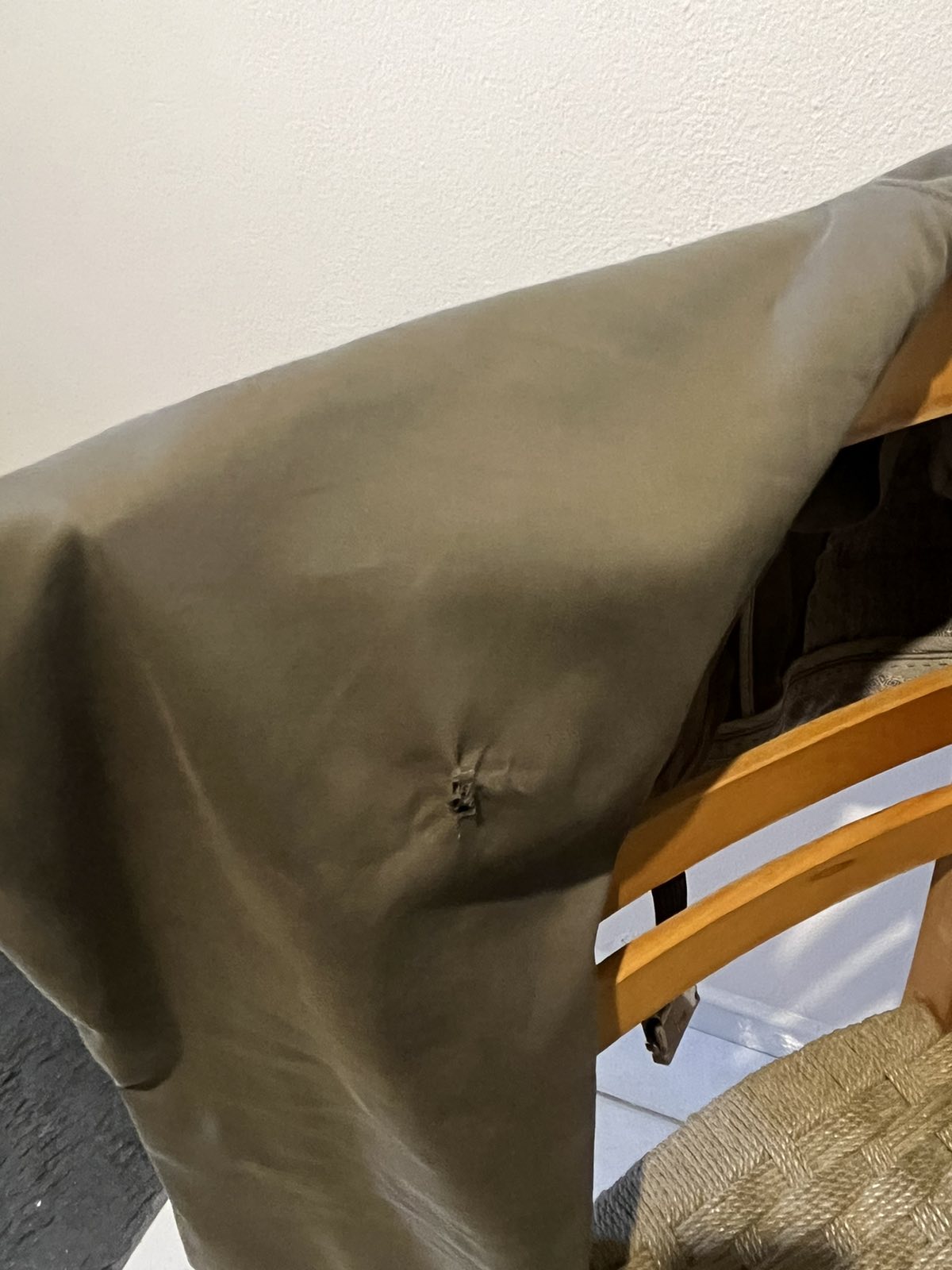 σκυλιά αγέλη παγνη ηράκλειο