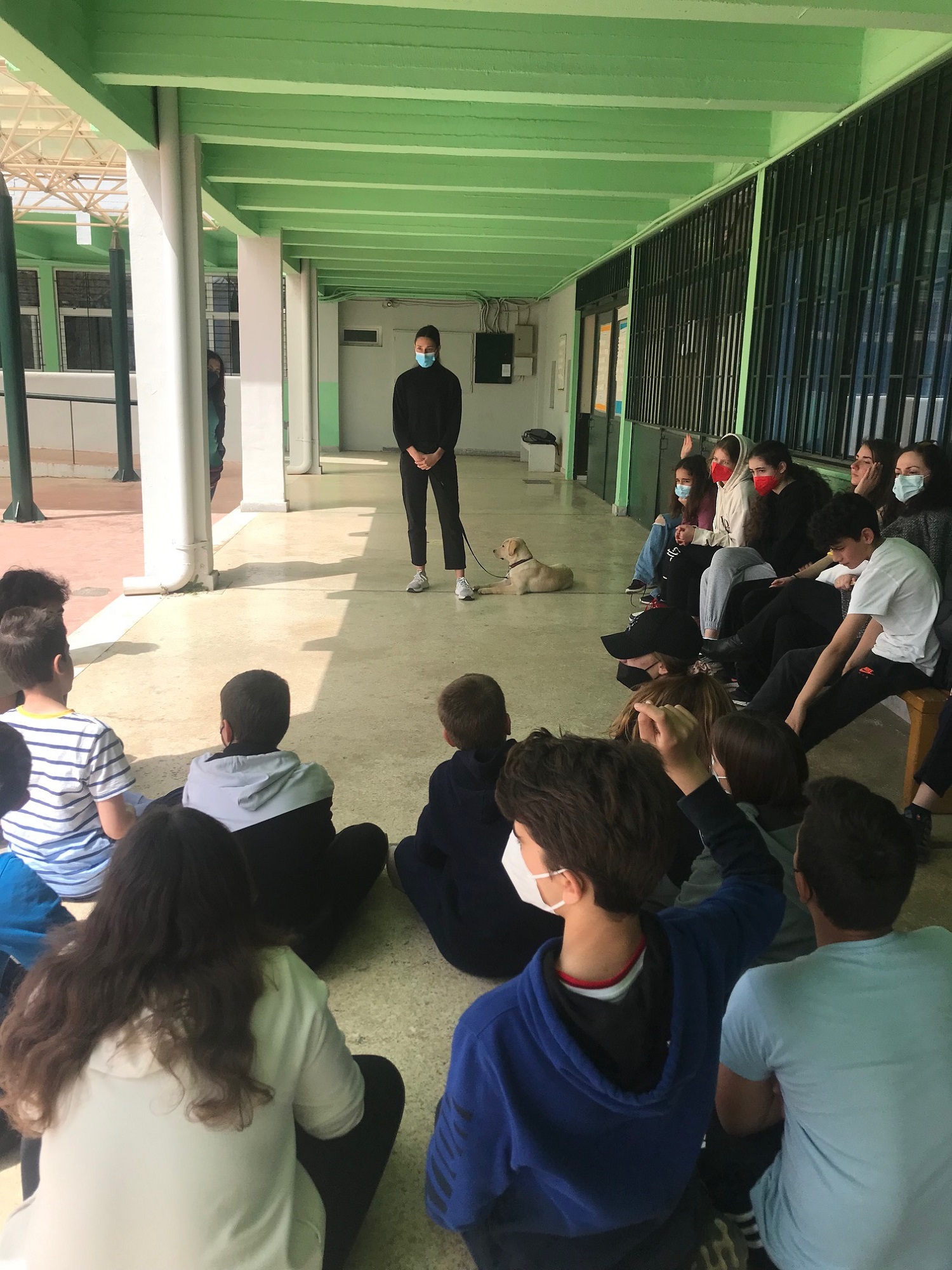 Σκύλοι οδηγοί