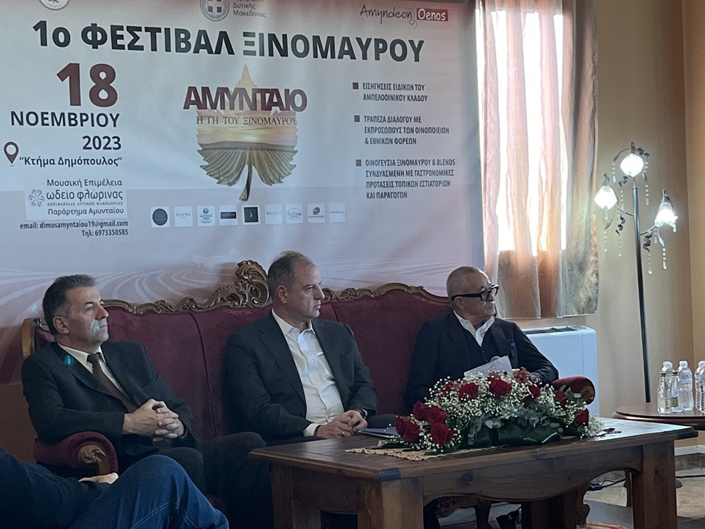 Σταμενίτης Αμύνταιο