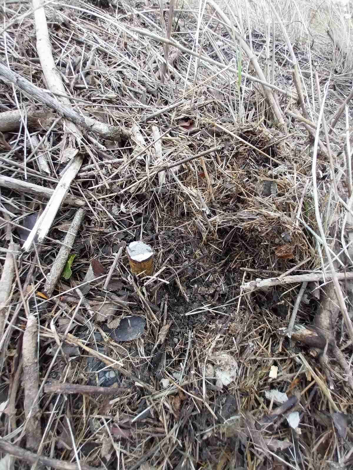 Σχολή Ασωμάτων κλοπή