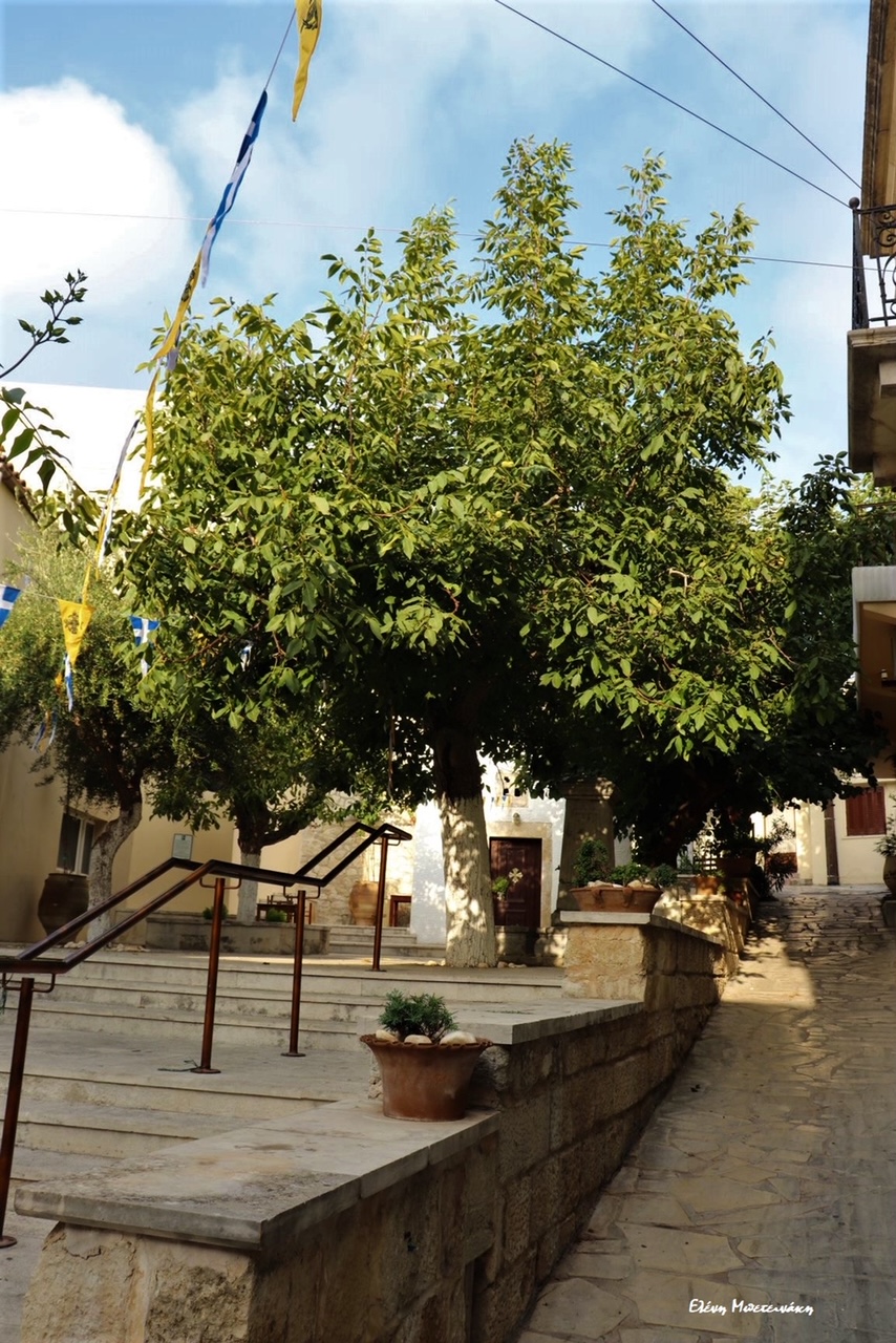 Τίμιος Σταυρός Μπετεινάκη