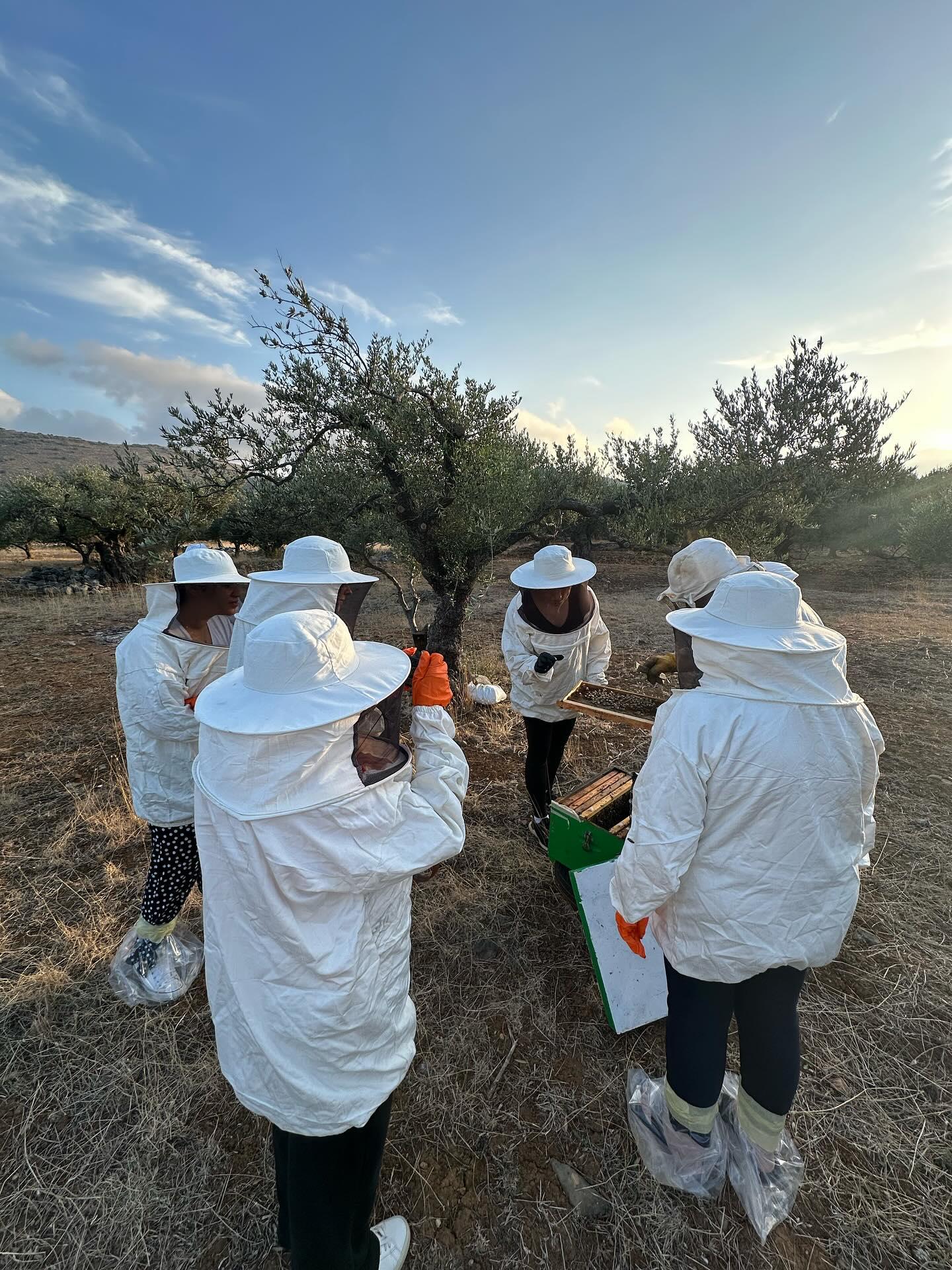 Δημοσιογράφοι τουριστική προβολή
