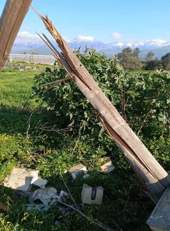 φωτογραφία από apopsilive.gr