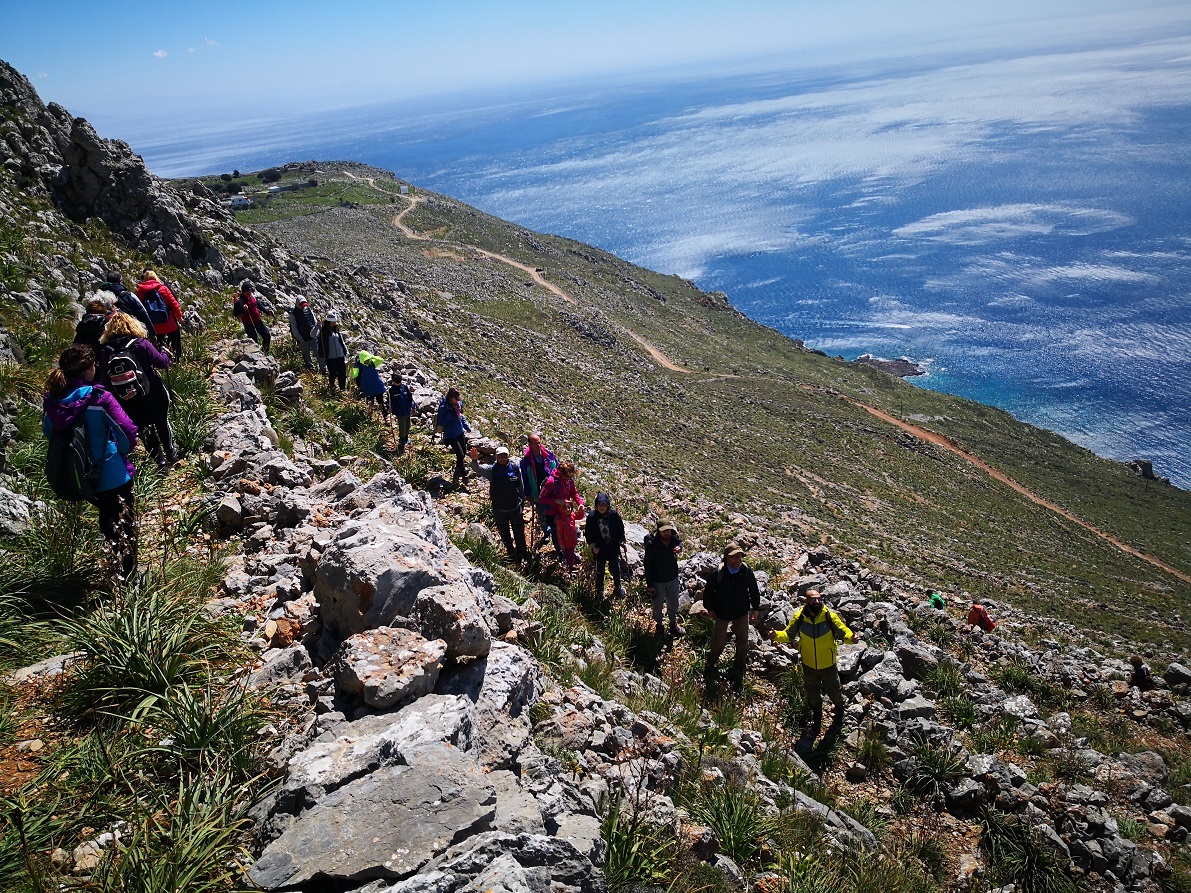 δρόμοι ζωής
