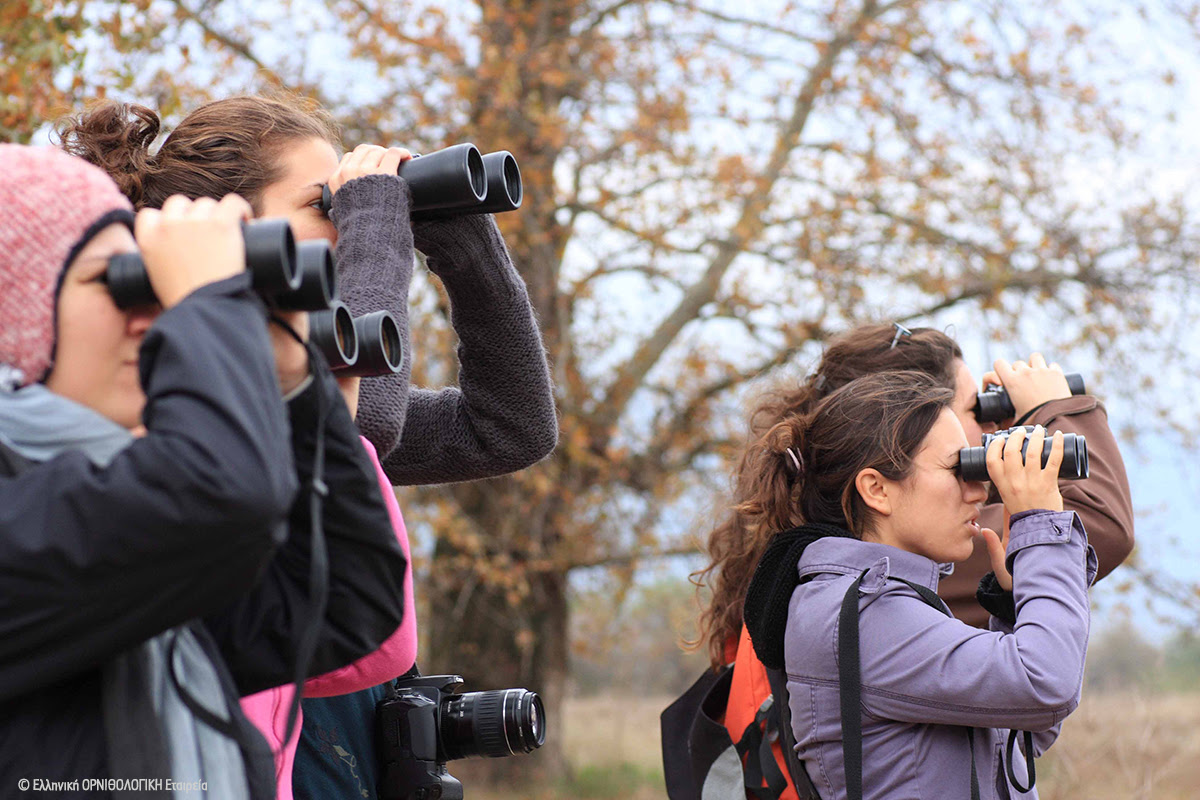 Από διοργανωτές ομάδων των Αγώνων Παρατήρησης Πουλιών