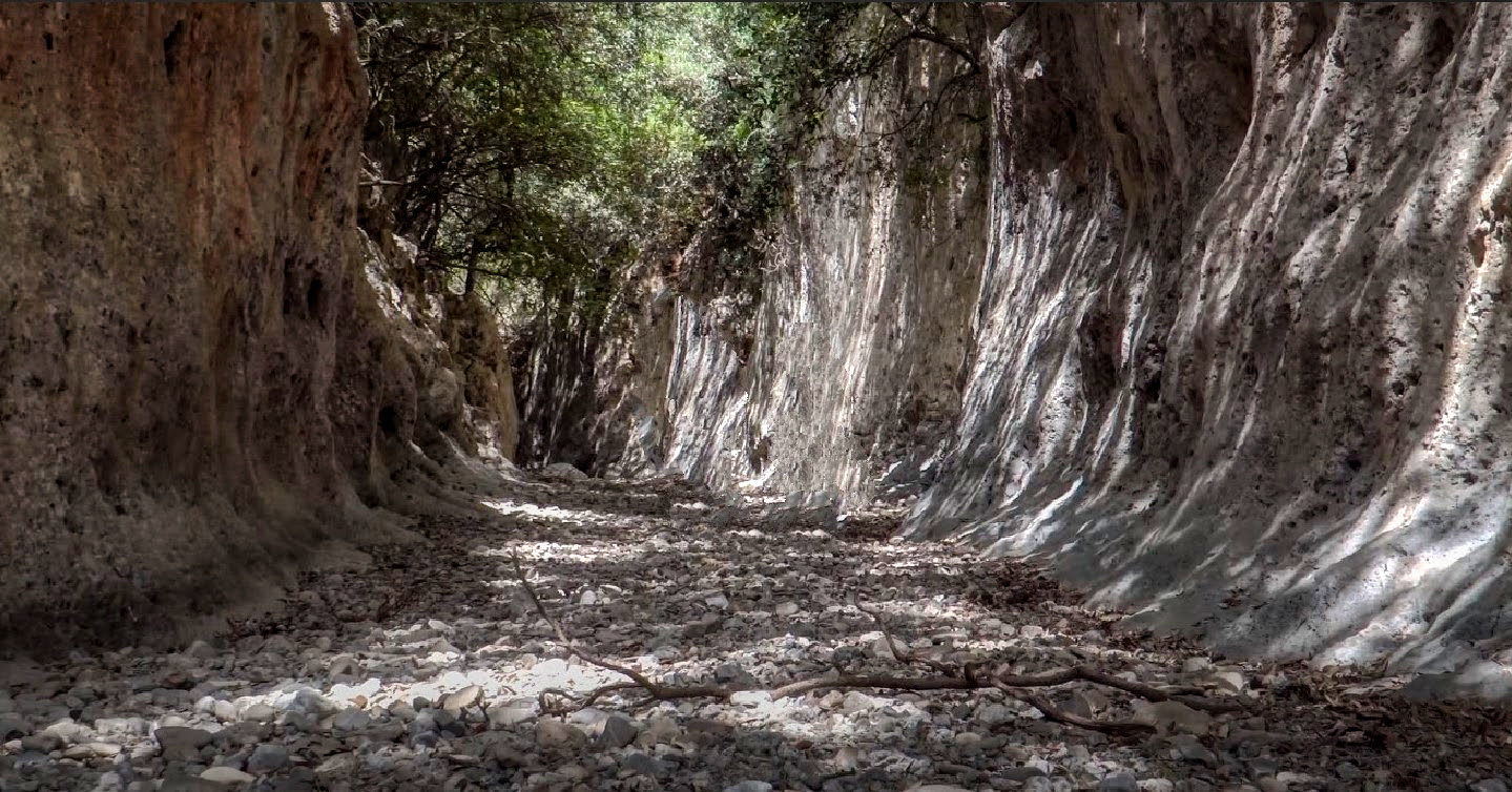 Δρόμοι Ζωής