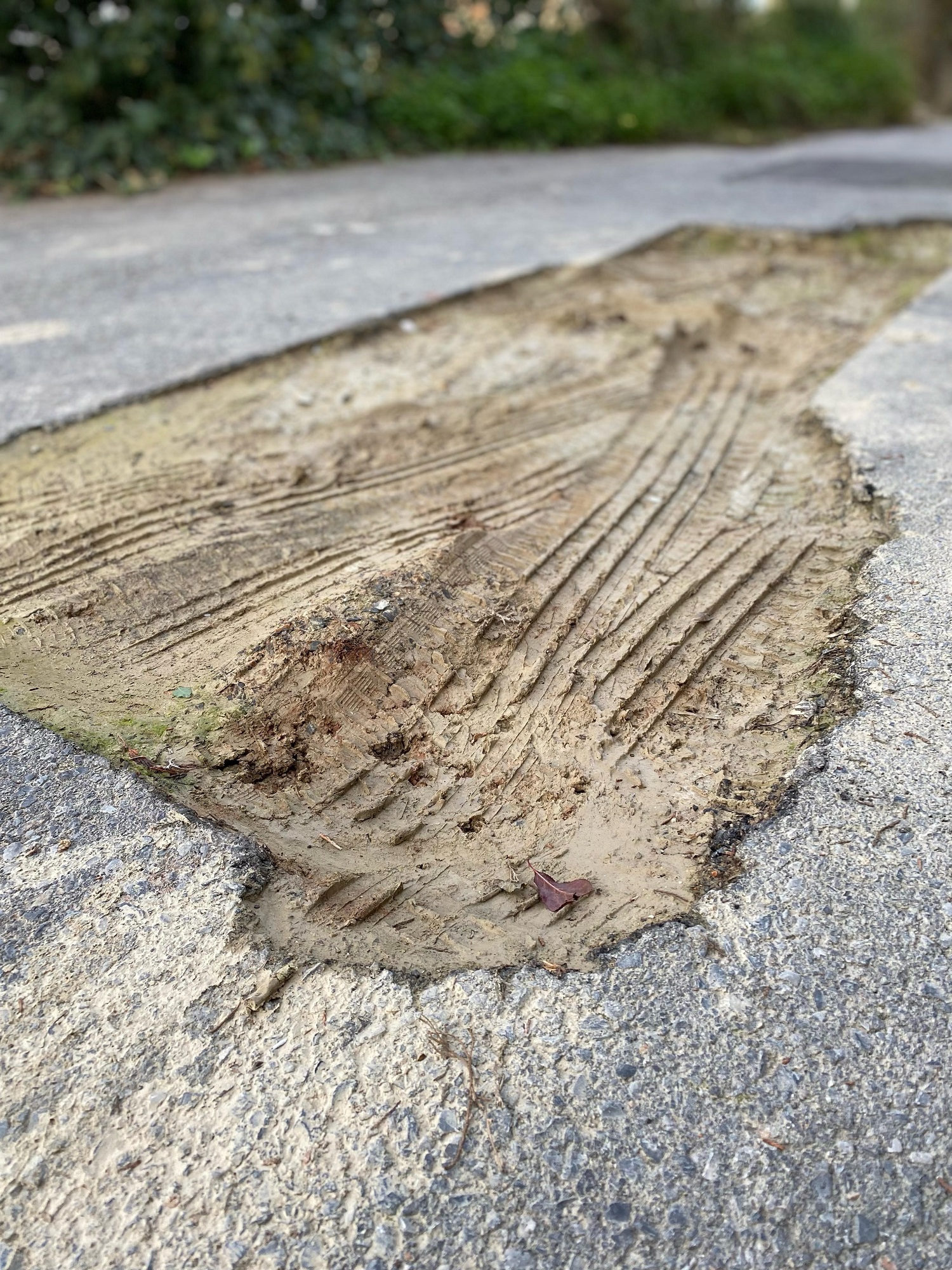 Λακκούβα Βασιλειές