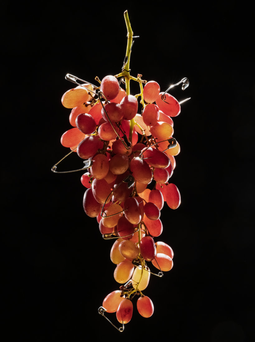 Έκθεση φωτογραφία Βάκχιον