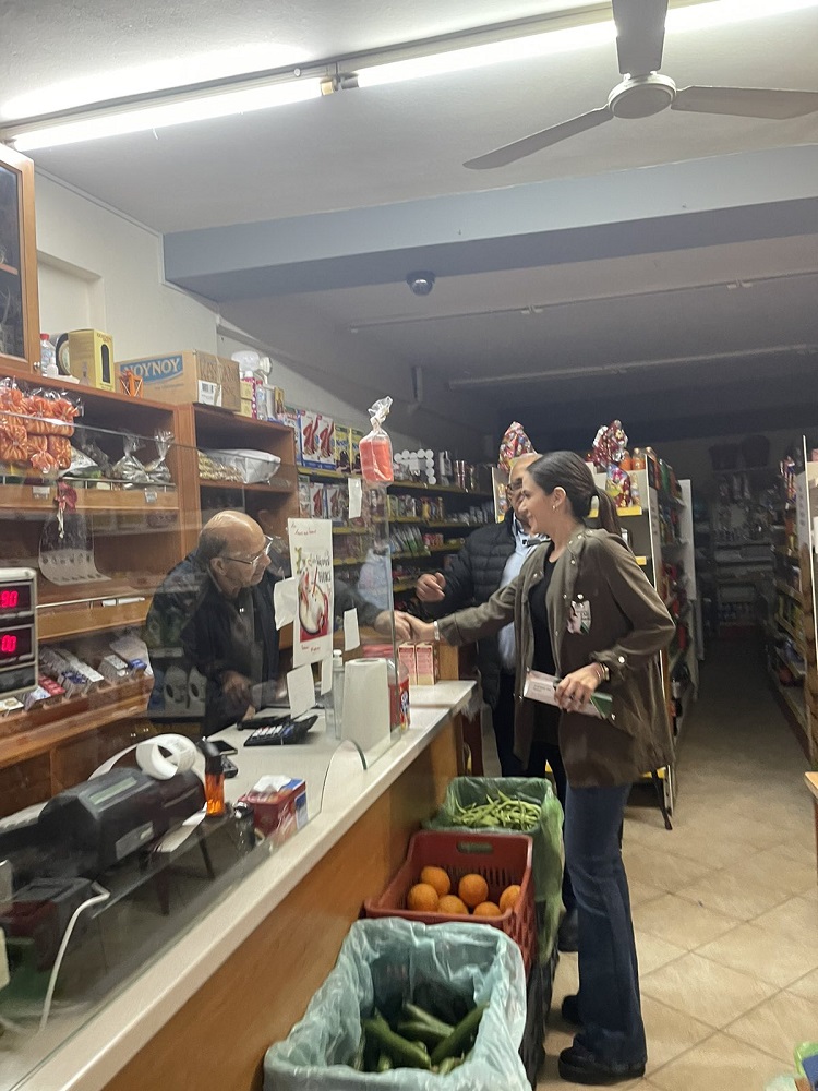 Βατσινά περιοδεία