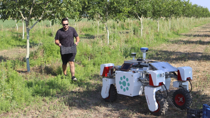 ρομπότ χωράφι