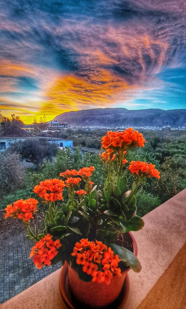 Φίλιππος Τσαγάκης Χανιά