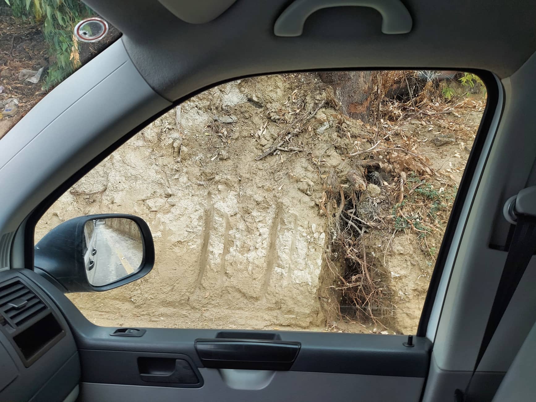 Χώματα δέντρο