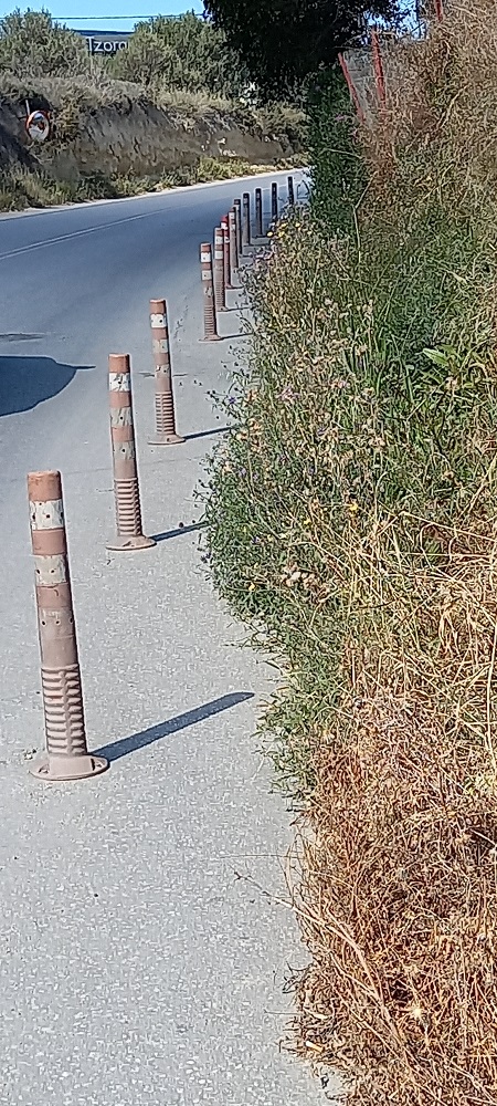 Δρόμος χόρτα