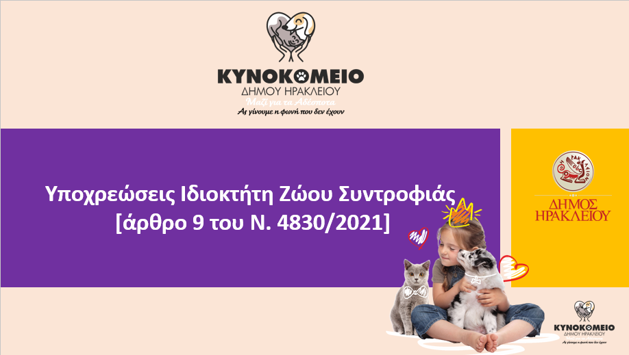 ζώα συντροφιάς