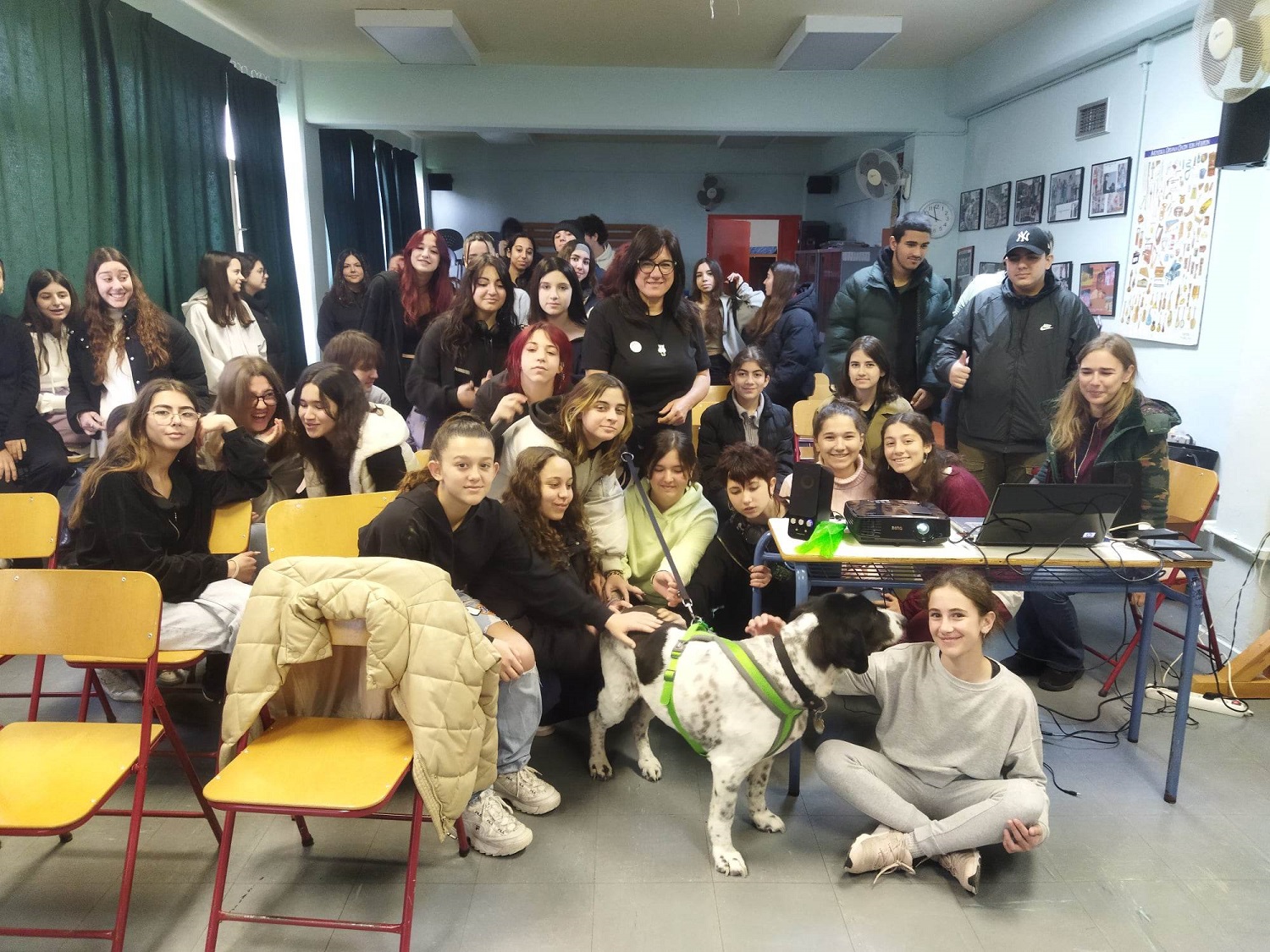 Καλλιτεχνικό δράση για ζώα