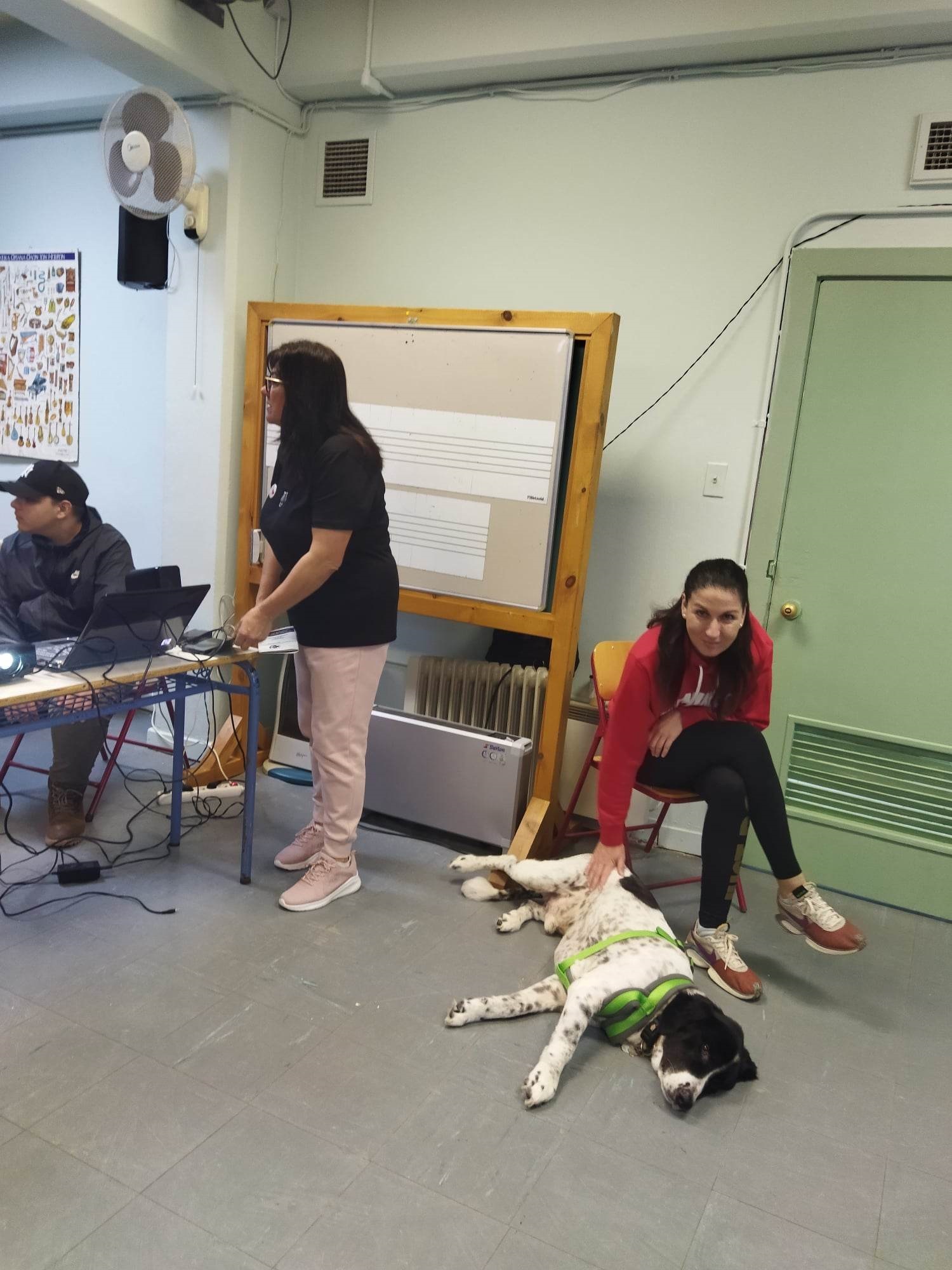 Καλλιτεχνικό δράση για ζώα