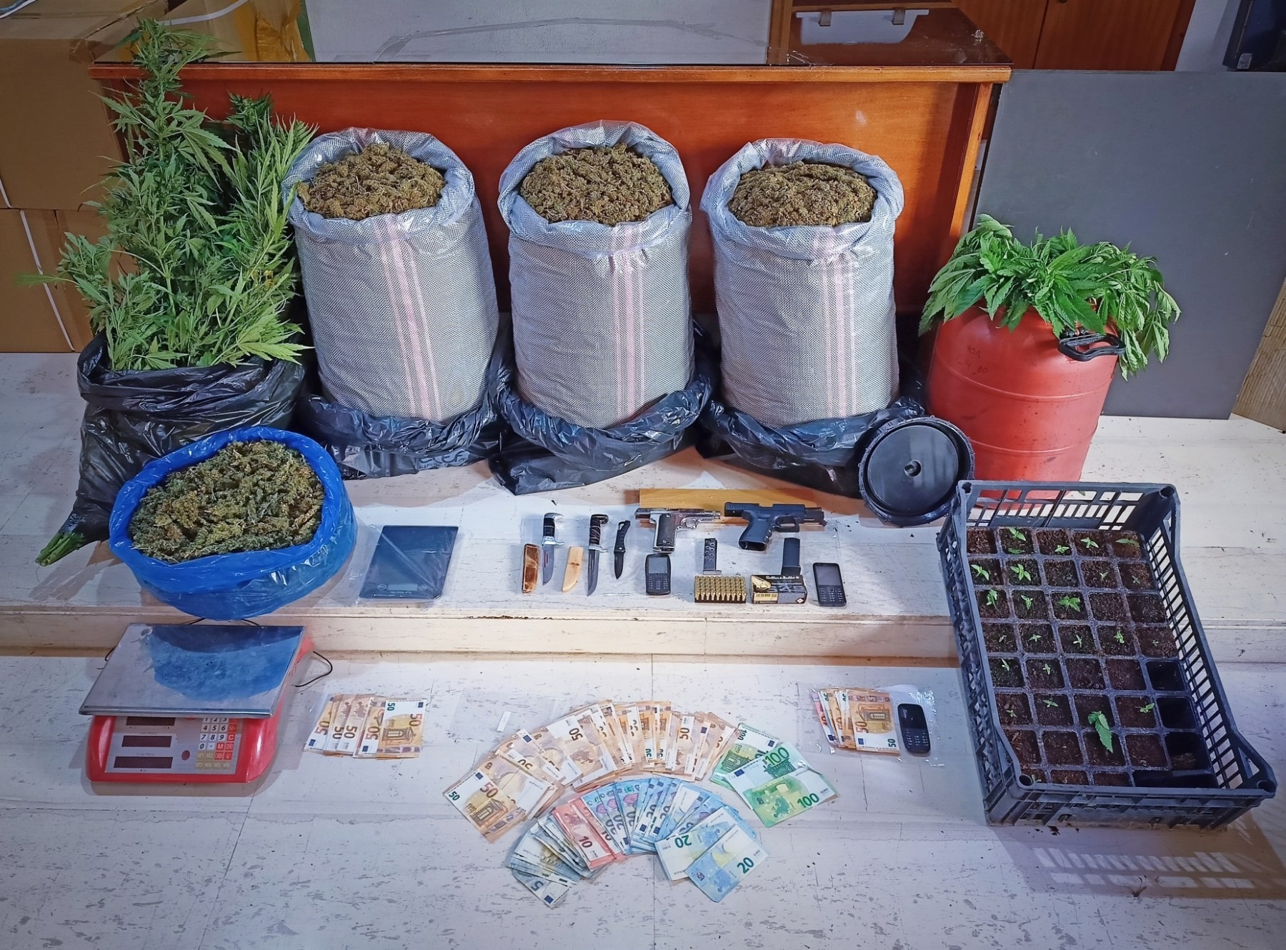 Ναρκωτικά Ζωνιανά