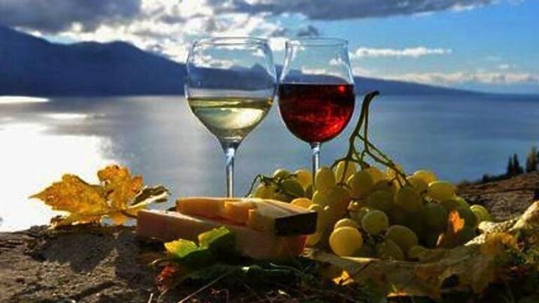 Τα ελληνικά κρασιά ΠΟΠ και ΠΓΕ επανασυστήνονται στο καταναλωτικό κοινό