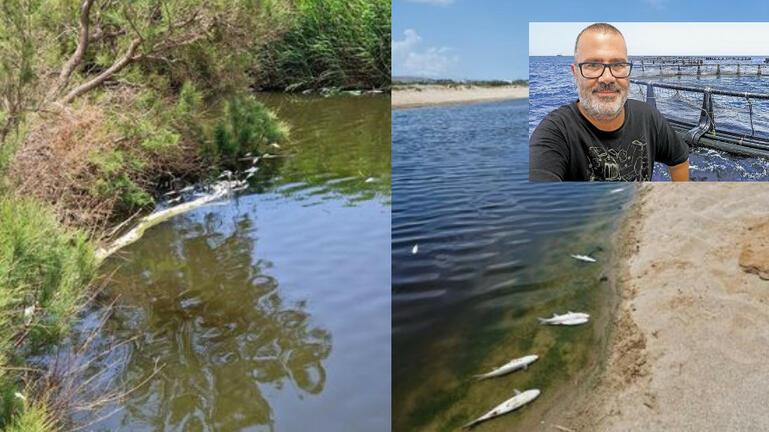 Ερυθρά παλίρροια στις εκβολές του Αποσελέμη: Τι δείχνουν τα αποτελέσματα του ΕΛΚΕΘΕ για τα νεκρά ψάρια