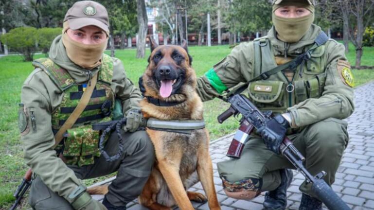 Ρώσοι εγκατέλειψαν σκύλο, κι αυτός άλλαξε στρατόπεδο
