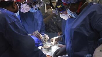 Έγινε η πρώτη στον κόσμο μεταμόσχευση καρδιάς γενετικά τροποποιημένου χοίρου 