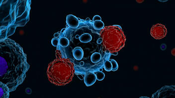Πώς λειτουργούν τα Τ λεμφοκύτταρα κατά της παραλλαγής Όμικρον