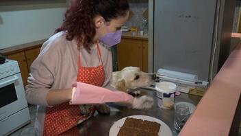 Ζαχαροπλαστείο για σκύλους παρασκευάζει λαχταριστές τούρτες 