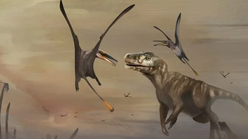 Ανακαλύφθηκε ο βασιλιάς των πτερόσαυρων στο Τζουράσικ Παρκ