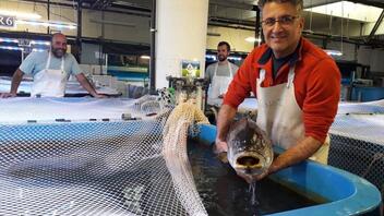Χρ. Δήμας: Ανοίγει ο δρόμος για τη βιώσιμη παραγωγή νέων ειδών ψαριών στη ελληνική ιχθυοκαλλιέργεια