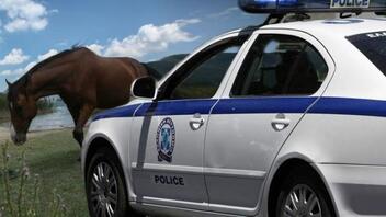 Σύλληψη 32χρονου μετά από καταγγελία για υποσιτισμένα άλογα