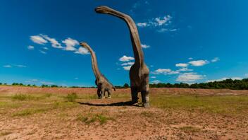 Στοιχεία για την ύπαρξη δεινοσαύρων στην Αιγυπτο πριν από 70 εκατομμύρια χρόνια